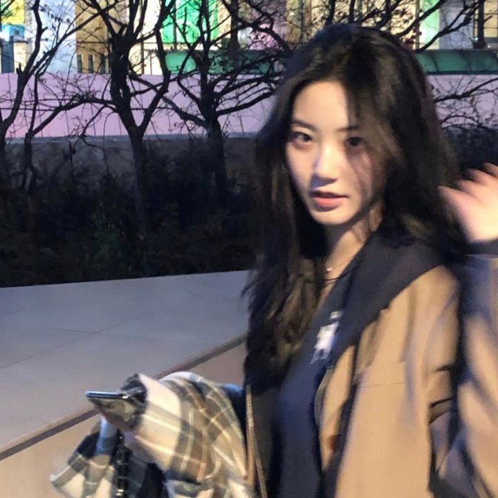 女神探宝盖丁
